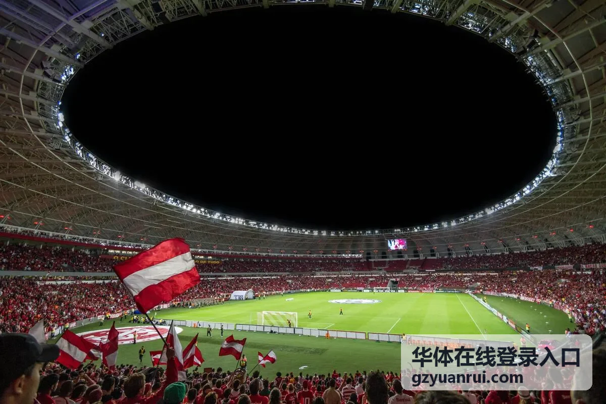 华体在线登录入口账号安全设置