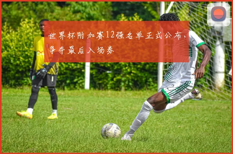 世界杯附加赛12强名单正式公布,争夺最后入场券