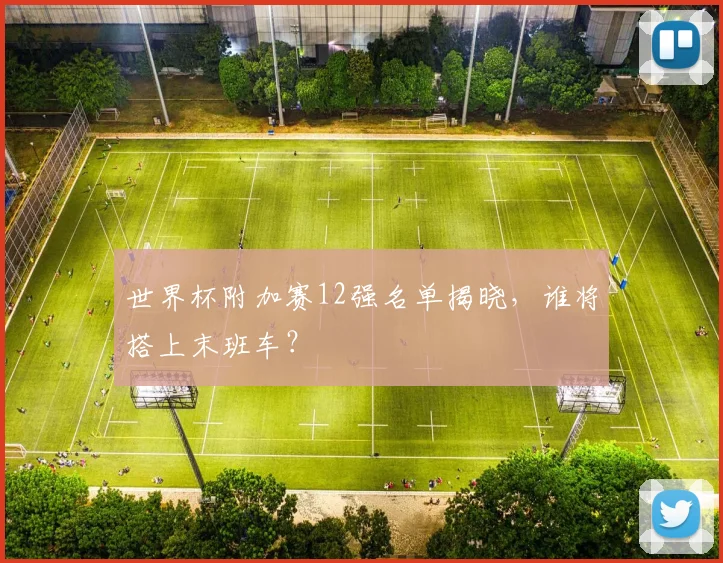 世界杯附加赛12强名单揭晓,谁将搭上末班车?