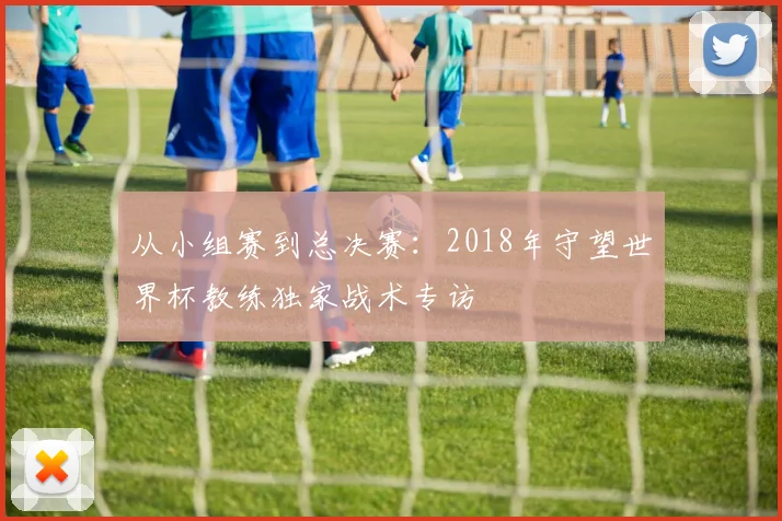 从小组赛到总决赛：2018年守望世界杯教练独家战术专访