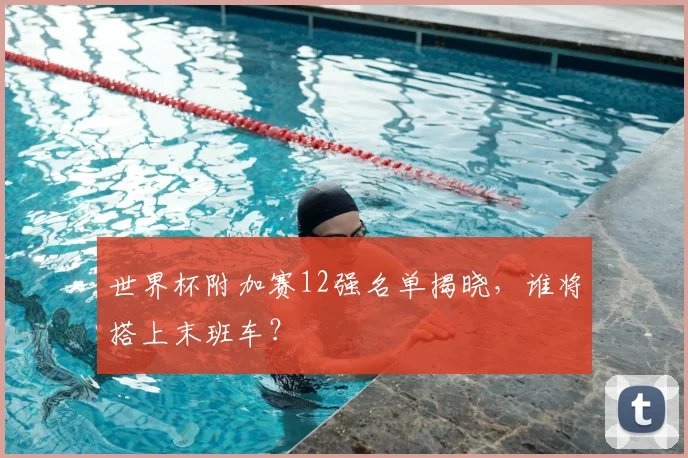 世界杯附加赛12强名单揭晓,谁将搭上末班车?