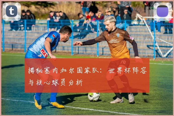 揭秘塞内加尔国家队：世界杯阵容与核心球员分析
