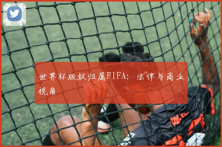 世界杯版权归属FIFA:法律与商业视角