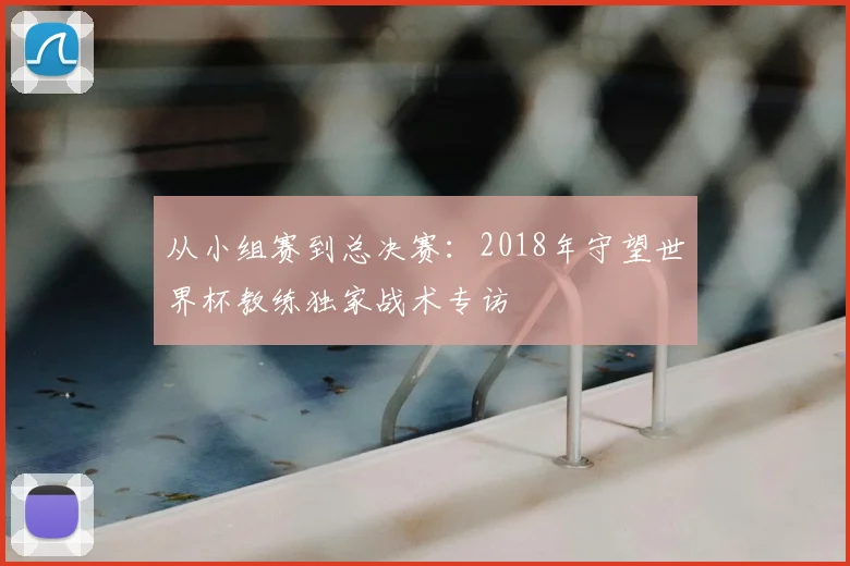 从小组赛到总决赛：2018年守望世界杯教练独家战术专访